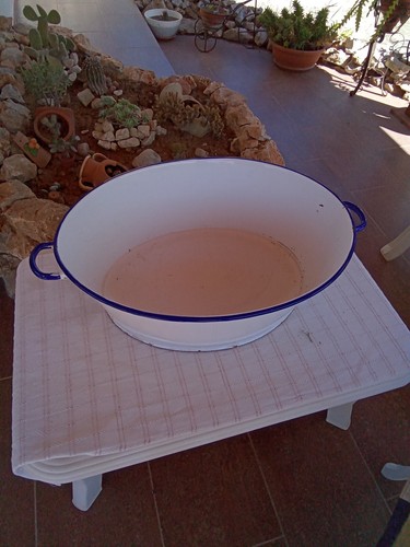 Vecchia tinozza ovale - ovale, in