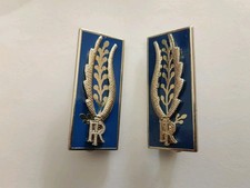 Mostrine Polizia Penitenziaria