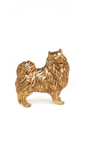 Cane spitz volpino zampe - cane, 4