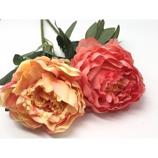 SUPER OFFERTA 6 PZ Fiori