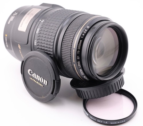 Canon 300 5 6 is - canon, mm