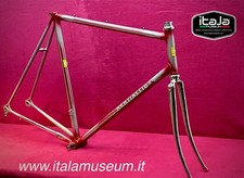 Telaio in acciaio bicicletta