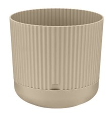 VASO PIANTE GRASSE FIORI SEMI