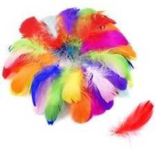 Piume Colorate sicuri e Non
