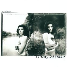 Is This Desire von PJ Harvey |