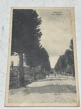 Cartolina Pordenone Viale Umberto I. F.P. Viaggiata 1917