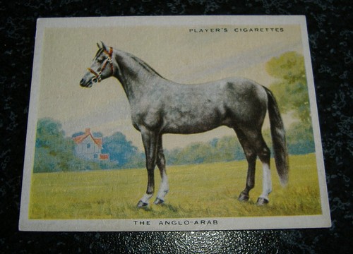 John player types - (large),