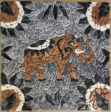 ELEFANTE - Rosone mosaico
