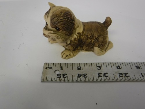 Yorkshire terrier yorkie - yorkshire,