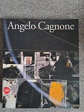 ANGELO CAGNONE SKIRA LIBRO