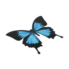 Farfalla mozzafiato 26 cm PVC