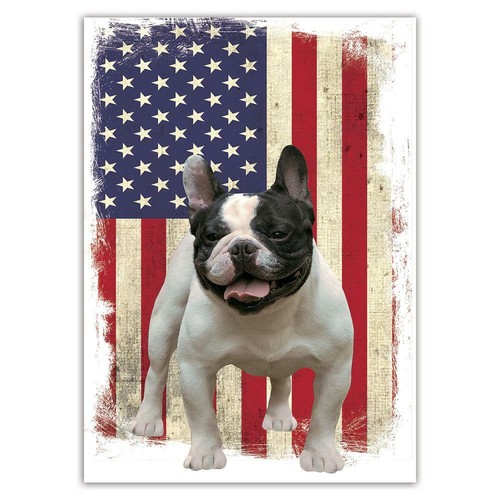 Adesivo regalo bulldog - adesivo, regalo: