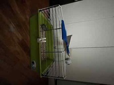 Gabbia per roditori inclusa di accessori per pulizia e per il pet