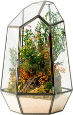 Terrario Stabilizzato Hyde in