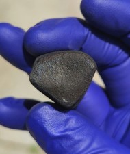 Meteorite autunnale testimone