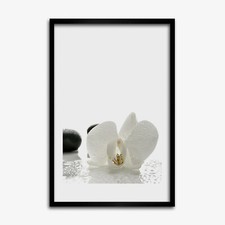 Tulup foto su MDF decorazione