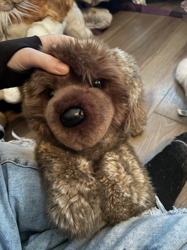 Douglas thor leonberger - leonberger, appena