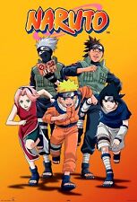 Naruto and Naruto Shippuden