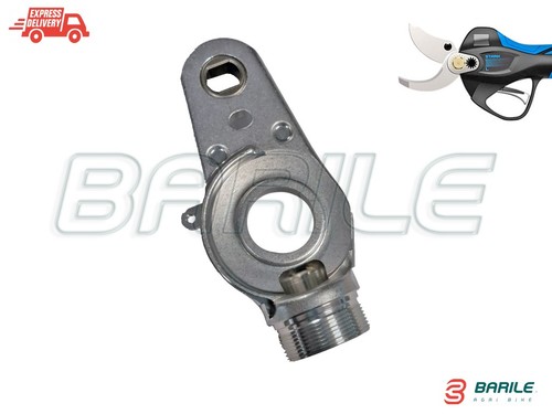 Testa nuda forbice batteria - forbice, /