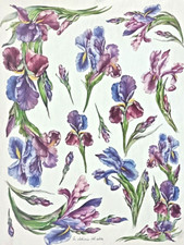 CARTA  DA  DECOUPAGE FORMATO CM. 35 X 50  IRIS