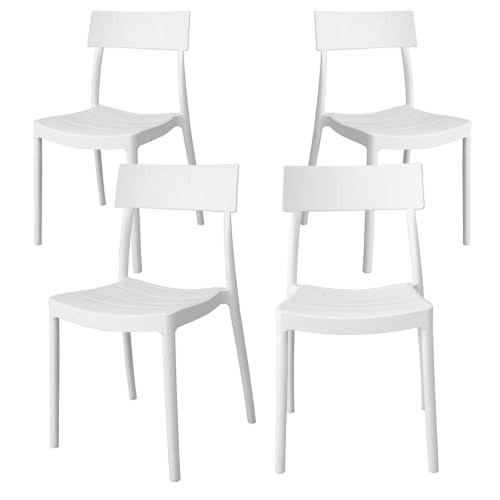Gardenia roma sedia - (tg.,