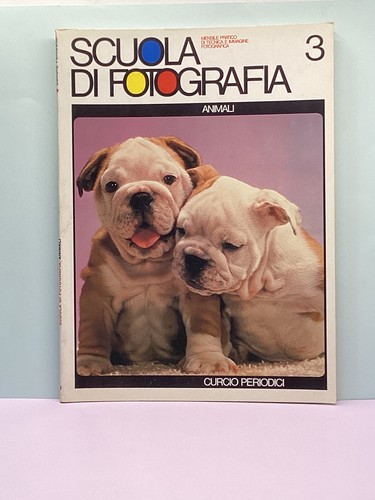 Scuola fotografia 3 - fotografia, n