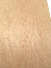 Pernice Legno Occhi di Uccello