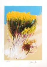 Giancarlo cazzaniga senza - -,