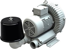 SOFFIANTE BISTASTADIO