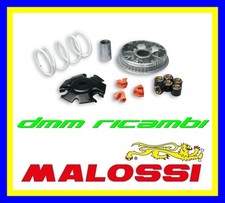 Variatore MALOSSI Multivar
