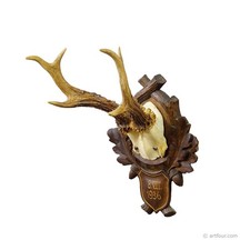 Antico trofeo cervo rosso