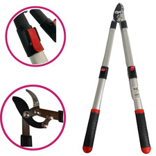 Troncarami Professionale