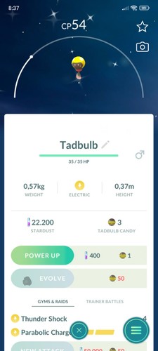 Tadbulb lucido t c - lucido,