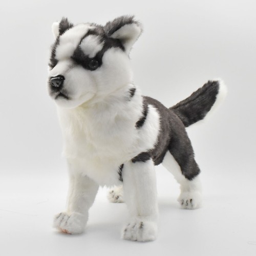 Hansa husky cucciolo piedi - hansa,