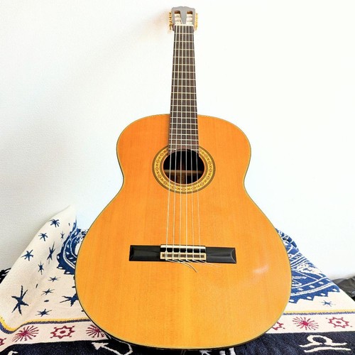Takamine chitarra - no.40,