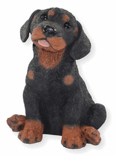 Statua Decorativa Cane Figura Rottweiler Cucciolo Raccolta Castagna Di Resina H