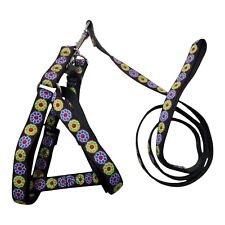 Pettorina e guinzaglio per