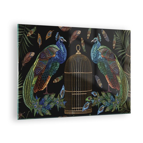 Quadro vetro 70x50cm pavoni - vetro,