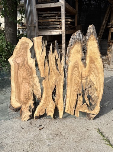 Tavole legno ulivo 3pezzi - tavole,