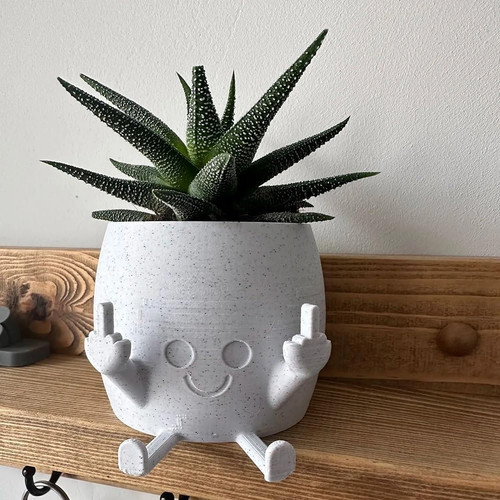 Vaso per piante sorridenti - piante,