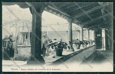 Firenze Fiesole cartolina QQ2276