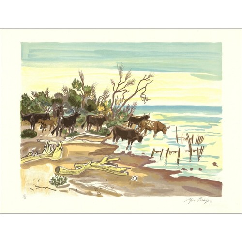 Brayer yves litografia - yves,