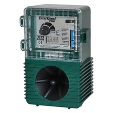 Scaccia piccione piccioni