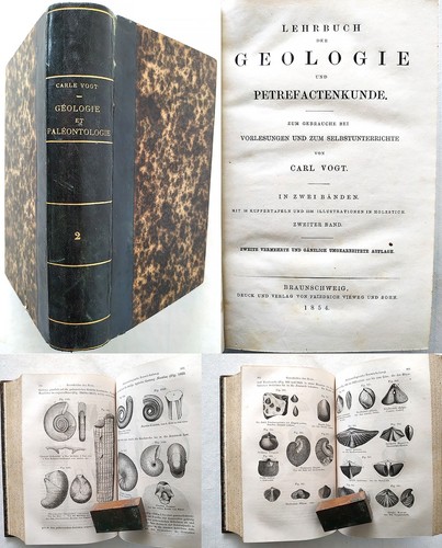 Géologie paléontologie t2 - géologie,