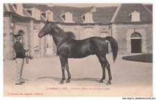 CAR-AFQP1-0007-61 - Il Taglio