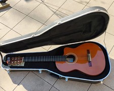 Manuel Rodriguez chitarra