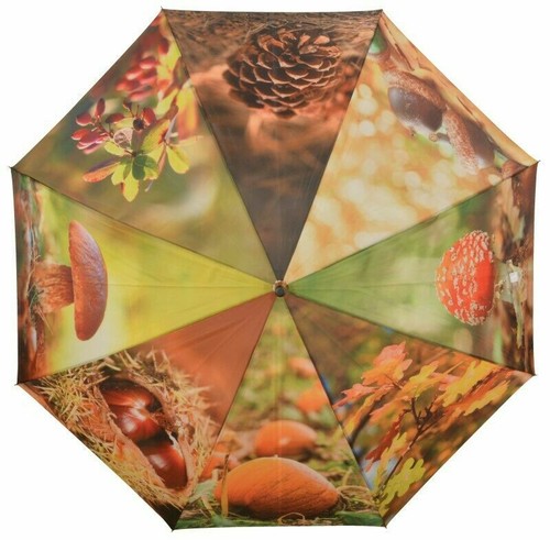 Ombrellone autunno - autunno,
