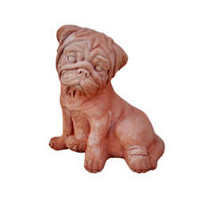 Cane bull dog francese