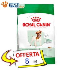 Royal Canin Mini Adult Pollo 8