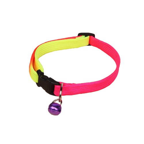 Accessori per cani collare - cani,
